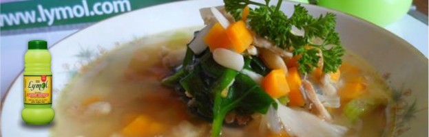 Chicken and Spinach Broth