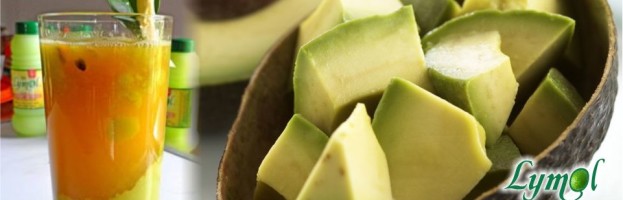 Avocado and Lymol Juice